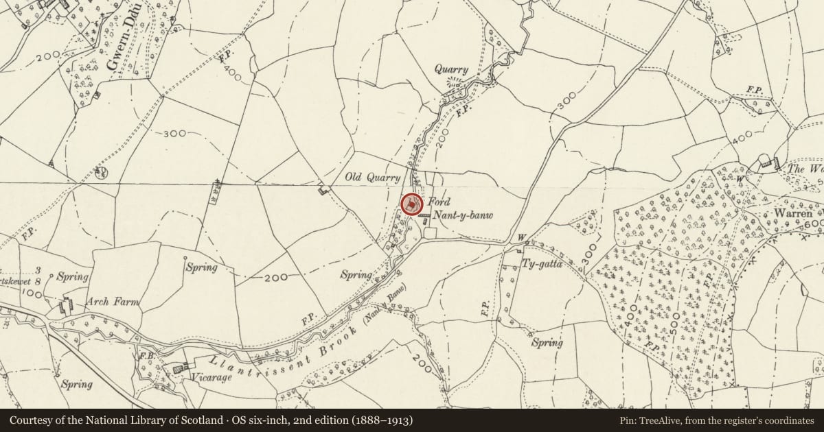 Ordnance Survey six-inch map, 2nd edition (1888–1913) covering the location of Nantybanw, Llantrisant Fawr, Monmouthshire, with a pin at the register's coordinates