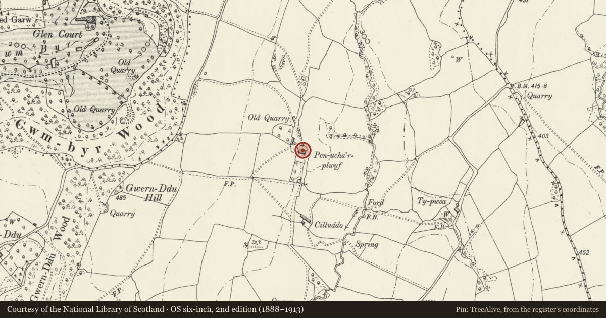 Ordnance Survey six-inch map, 2nd edition (1888–1913) covering the location of Pen-ucha'r-plwyf, Llantrisant Fawr, Monmouthshire, with a pin at the register's coordinates