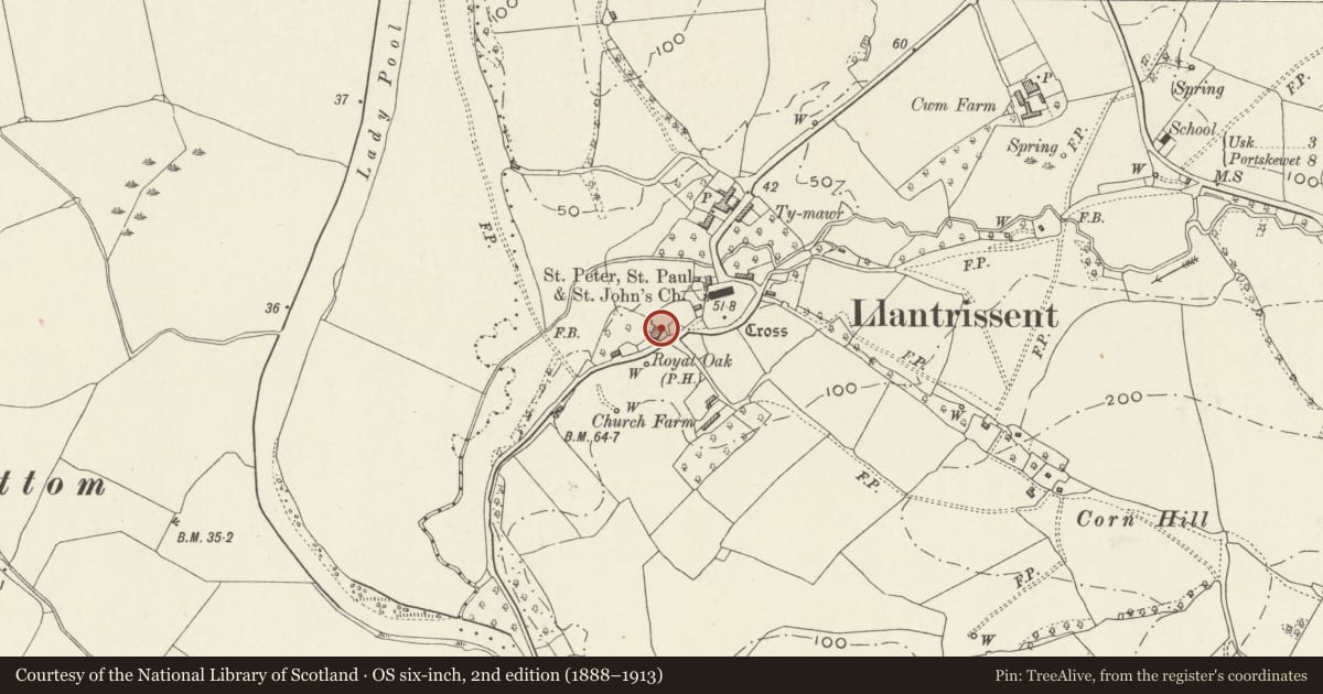 Ordnance Survey six-inch map, 2nd edition (1888–1913) covering the location of Royal Oak, Llantrisant Fawr, Monmouthshire, with a pin at the register's coordinates