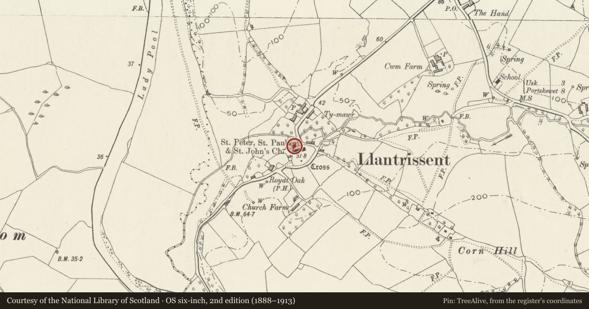 Ordnance Survey six-inch map, 2nd edition (1888–1913) covering the location of Tribwthin, Llantrisant Fawr, Monmouthshire, with a pin at the register's coordinates