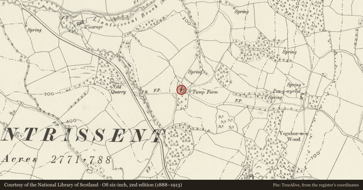 Ordnance Survey six-inch map, 2nd edition (1888–1913) covering the location of Twmp Farmhouse, Llantrisant Fawr, Monmouthshire, with a pin at the register's coordinates