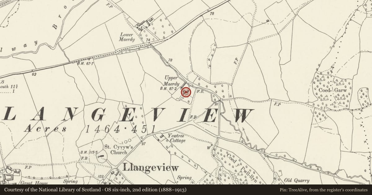 Ordnance Survey six-inch map, 2nd edition (1888–1913) covering the location of The Farmhouse and The Dairy, Upper Maerdy, Llantrisant Fawr, Monmouthshire, with a pin at the register's coordinates