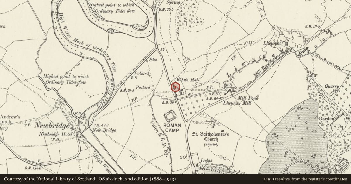 Ordnance Survey six-inch map, 2nd edition (1888–1913) covering the location of Whitehall, Llantrisant Fawr, Monmouthshire, with a pin at the register's coordinates