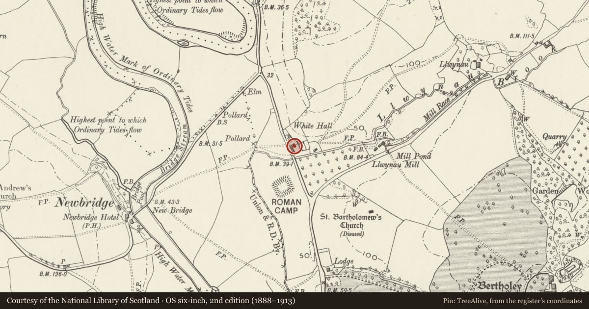 Ordnance Survey six-inch map, 2nd edition (1888–1913) covering the location of Outbuilding by SE corner of Whitehall Farmhouse, Llantrisant Fawr, Monmouthshire, with a pin at the register's coordinates