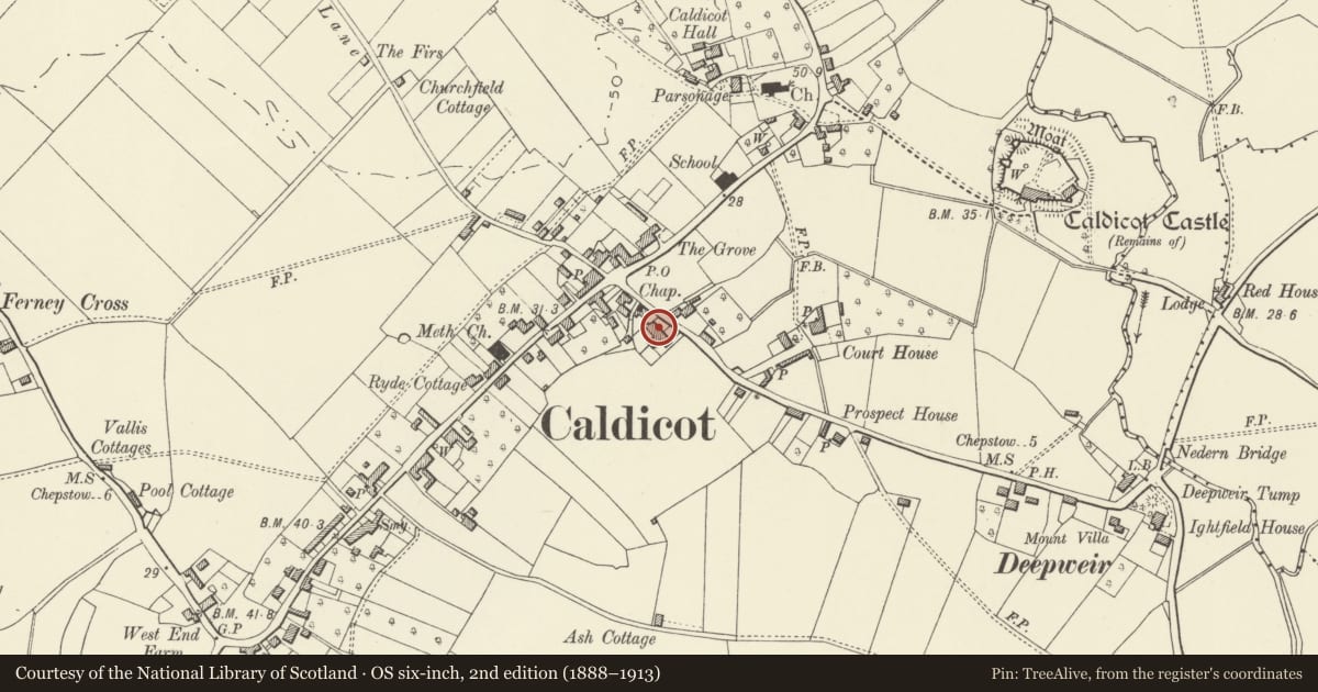 Ordnance Survey six-inch map, 2nd edition (1888–1913) covering the location of Ivy Lodge, Caldicot, Monmouthshire, with a pin at the register's coordinates