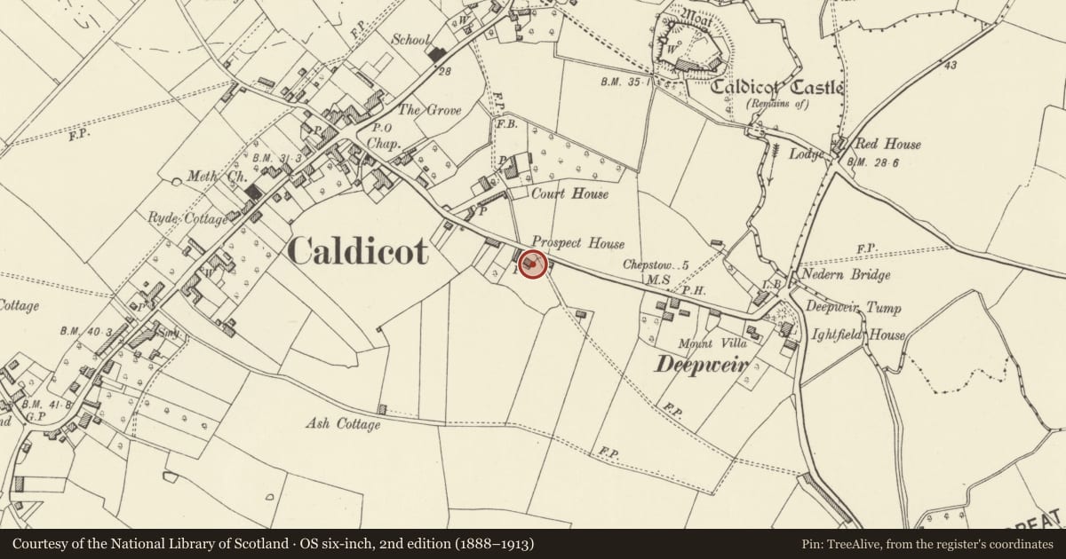 Ordnance Survey six-inch map, 2nd edition (1888–1913) covering the location of Prospect House, Caldicot, Monmouthshire, with a pin at the register's coordinates