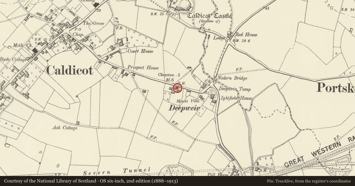 Ordnance Survey six-inch map, 2nd edition (1888–1913) covering the location of Ye Olde Tippling Philosopher P.H., Caldicot, Monmouthshire, with a pin at the register's coordinates