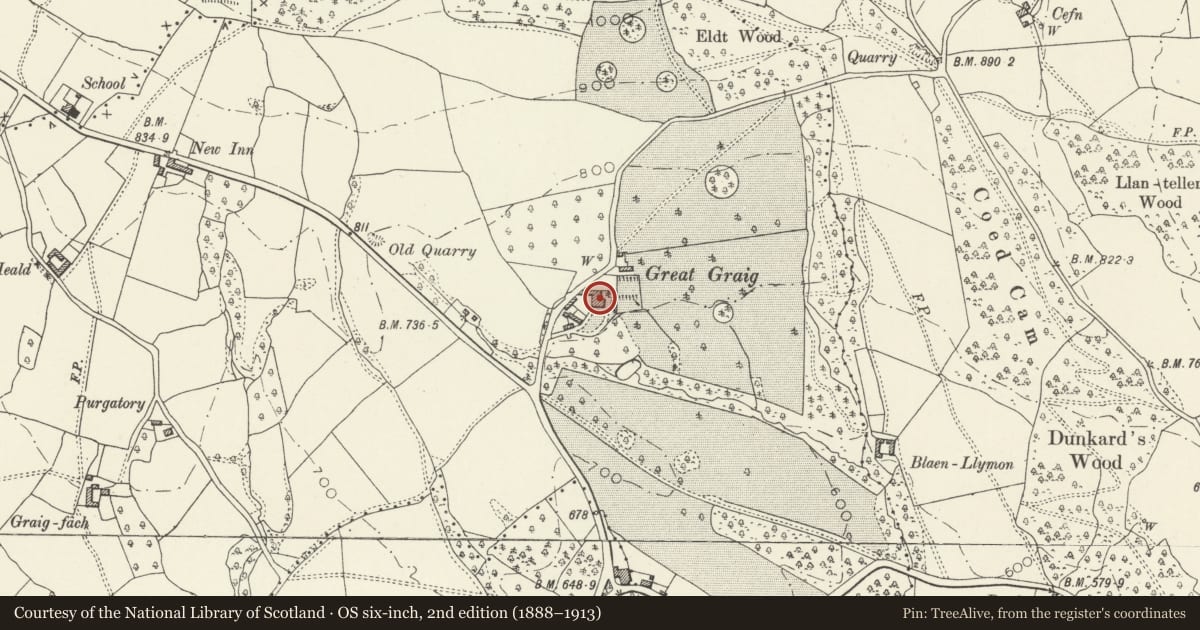 Ordnance Survey six-inch map, 2nd edition (1888–1913) covering the location of Graig House (aka Great Graig) including terrace to S and E, Skenfrith, Monmouthshire, with a pin at the register's coordinates