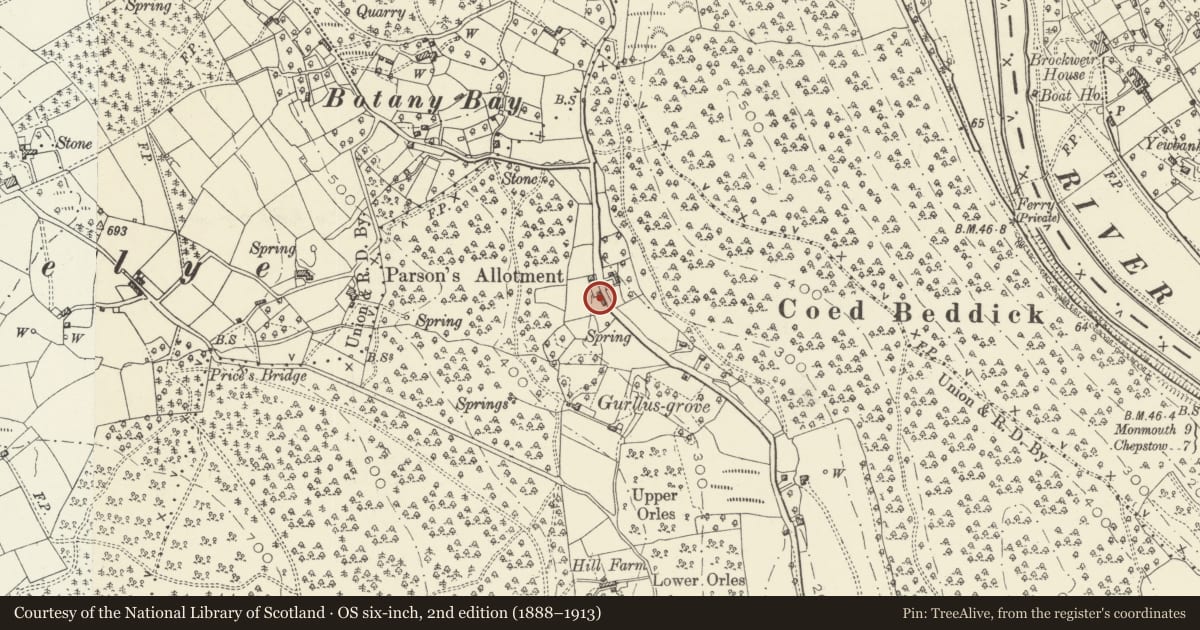 Ordnance Survey six-inch map, 2nd edition (1888–1913) covering the location of The Old Cider Mill, Wye Valley, Monmouthshire, with a pin at the register's coordinates