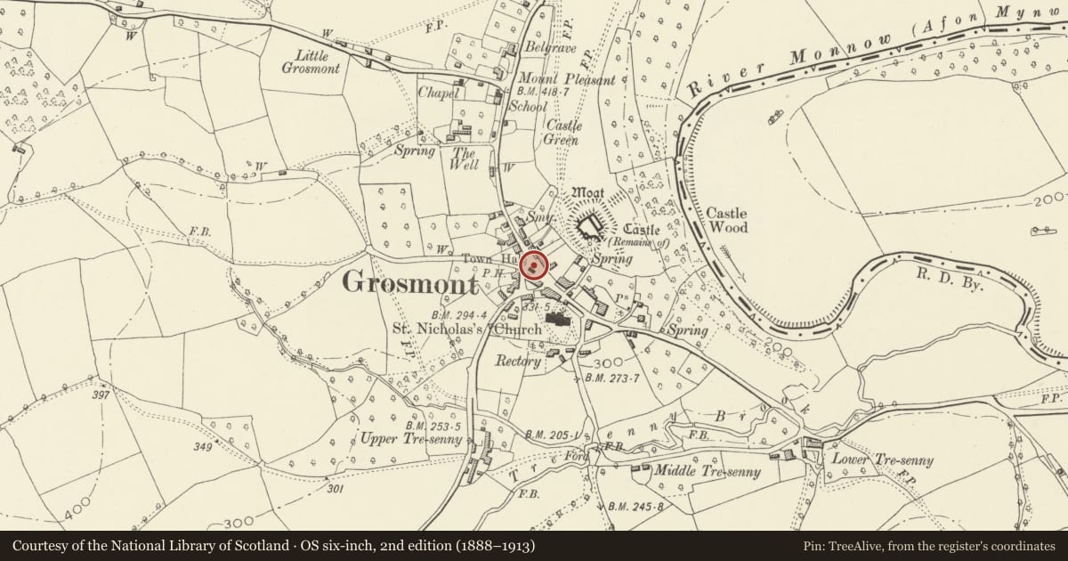 Ordnance Survey six-inch map, 2nd edition (1888–1913) covering the location of Grosmont Town Hall, Monmouthshire, with a pin at the register's coordinates