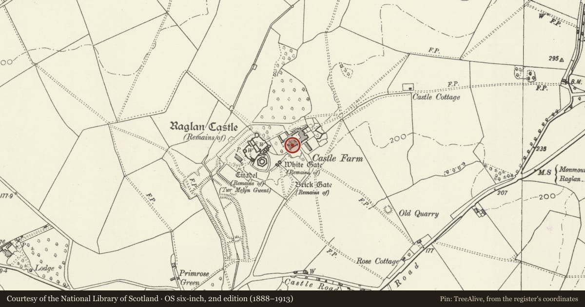 Ordnance Survey six-inch map, 2nd edition (1888–1913) covering the location of Castle Farmhouse, Raglan, Monmouthshire, with a pin at the register's coordinates