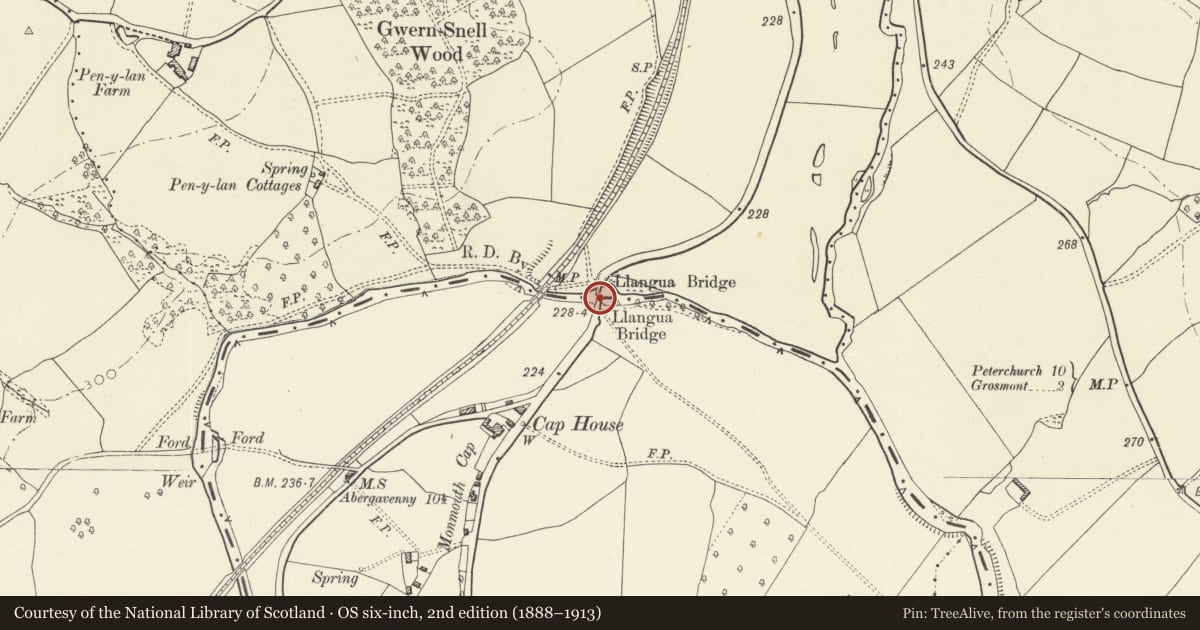 Ordnance Survey six-inch map, 2nd edition (1888–1913) covering the location of Llangua Bridge, Grosmont, Monmouthshire, with a pin at the register's coordinates