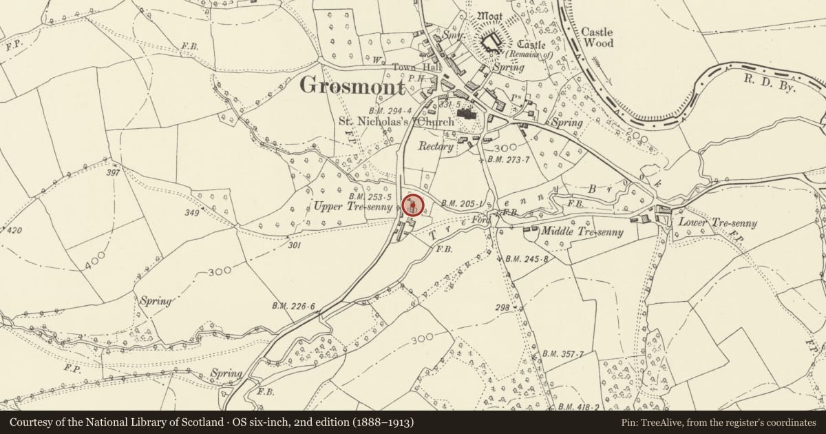 Ordnance Survey six-inch map, 2nd edition (1888–1913) covering the location of Great Tresenny Farmhouse also known as Upper Tresenny, Grosmont, Monmouthshire, with a pin at the register's coordinates