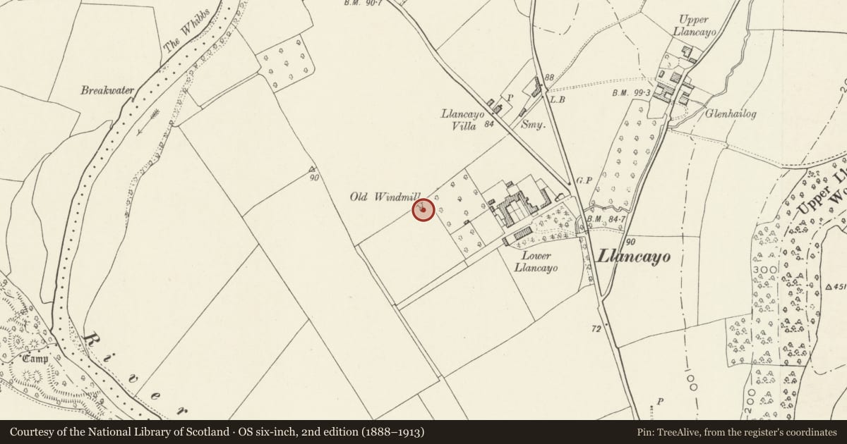 Ordnance Survey six-inch map, 2nd edition (1888–1913) covering the location of Windmill Tower to W of Llancayo House, Llanarth, Monmouthshire, with a pin at the register's coordinates