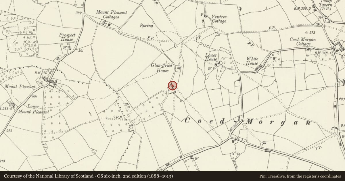 Ordnance Survey six-inch map, 2nd edition (1888–1913) covering the location of Glanffrwd Mill, Gobion Fawr, Monmouthshire, with a pin at the register's coordinates
