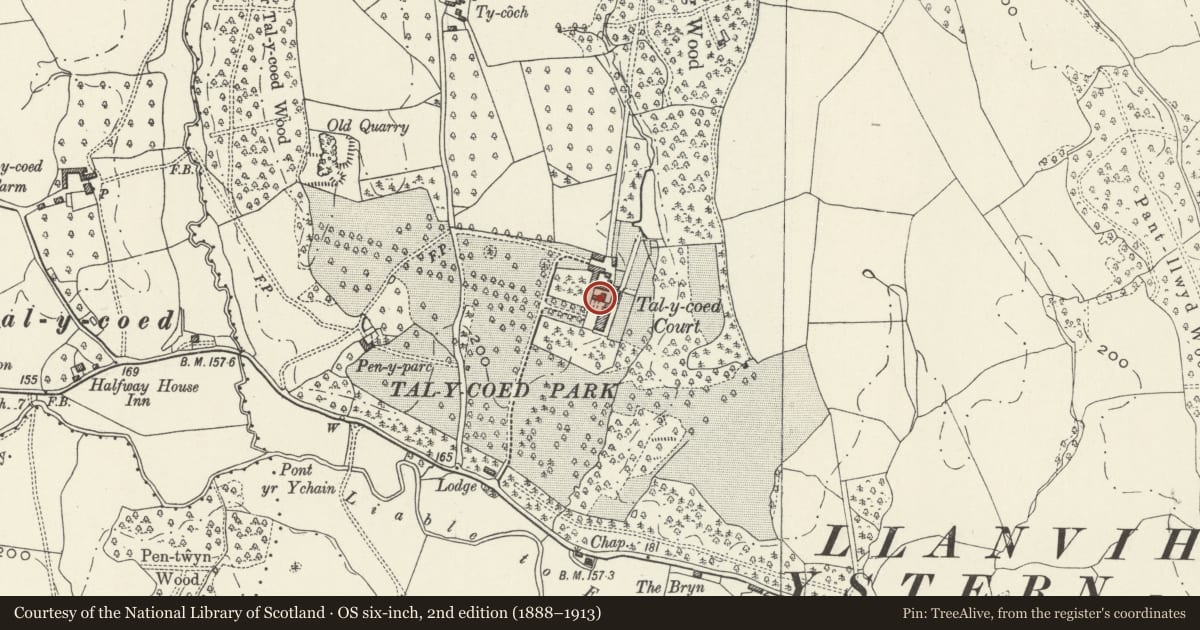 Ordnance Survey six-inch map, 2nd edition (1888–1913) covering the location of Former Stables & Clock House at Tal-y-coed Court, Whitecastle, Monmouthshire, with a pin at the register's coordinates