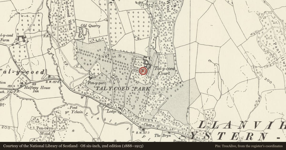 Ordnance Survey six-inch map, 2nd edition (1888–1913) covering the location of Forecourt Walls & Railings to W side of Tal-y-coed Court, Whitecastle, Monmouthshire, with a pin at the register's coordinates