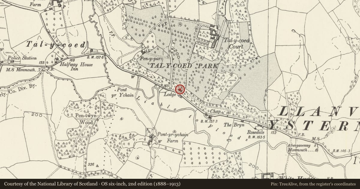 Ordnance Survey six-inch map, 2nd edition (1888–1913) covering the location of Lodge at Main Entrance to Tal-y-coed Court, Whitecastle, Monmouthshire, with a pin at the register's coordinates