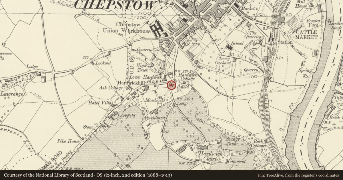 Ordnance Survey six-inch map, 2nd edition (1888–1913) covering the location of Ashfield House, Chepstow, Monmouthshire, with a pin at the register's coordinates