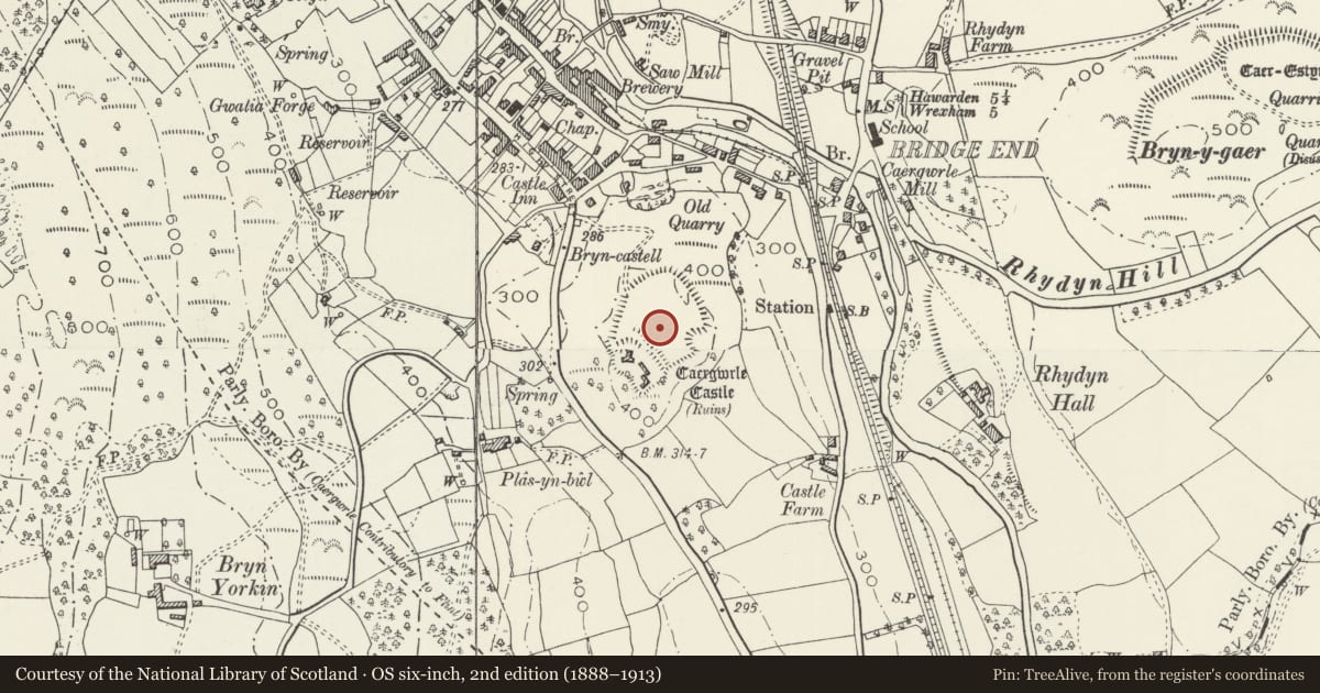 Ordnance Survey six-inch map, 2nd edition (1888–1913) covering the location of Caergwrle Castle, Hope, Flintshire, with a pin at the register's coordinates