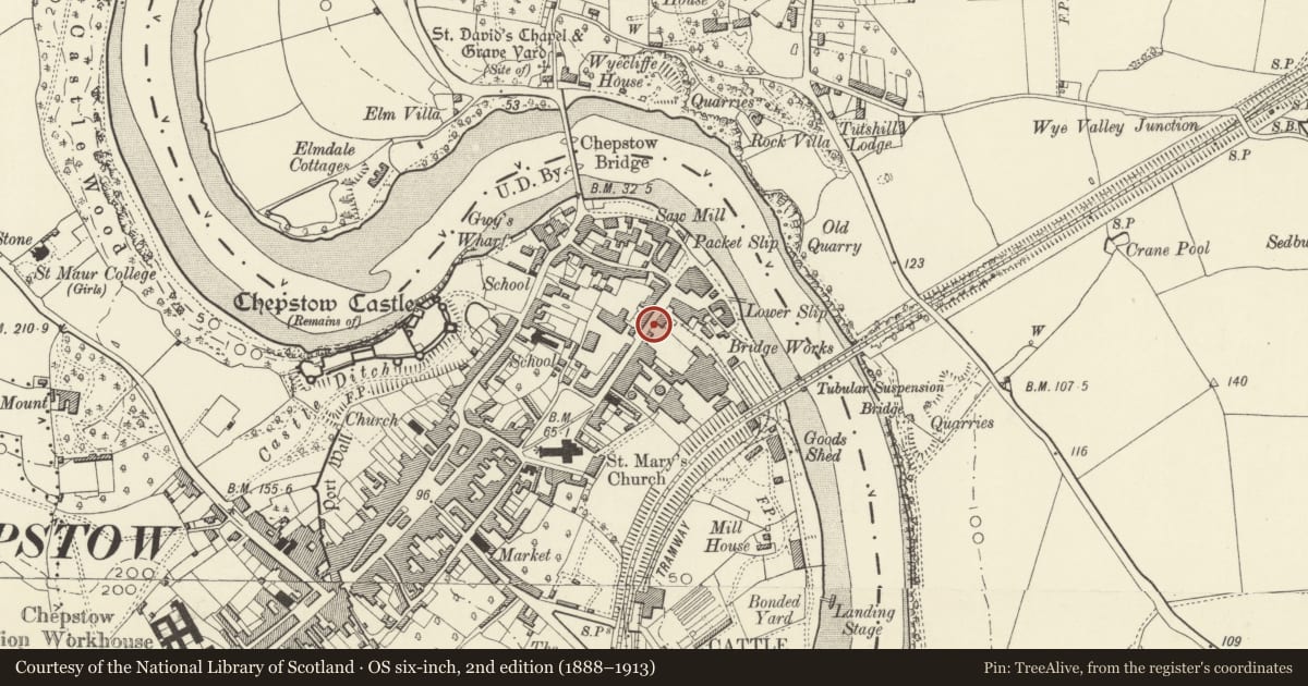 Ordnance Survey six-inch map, 2nd edition (1888–1913) covering the location of Telephone Call-box opposite No. 26 Lower Church Street, Chepstow, Monmouthshire, with a pin at the register's coordinates