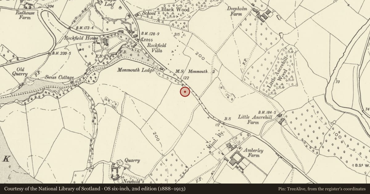 Ordnance Survey six-inch map, 2nd edition (1888–1913) covering the location of Nos.1-4 (consec) Cottage Homes, Whitecastle, Monmouthshire, with a pin at the register's coordinates