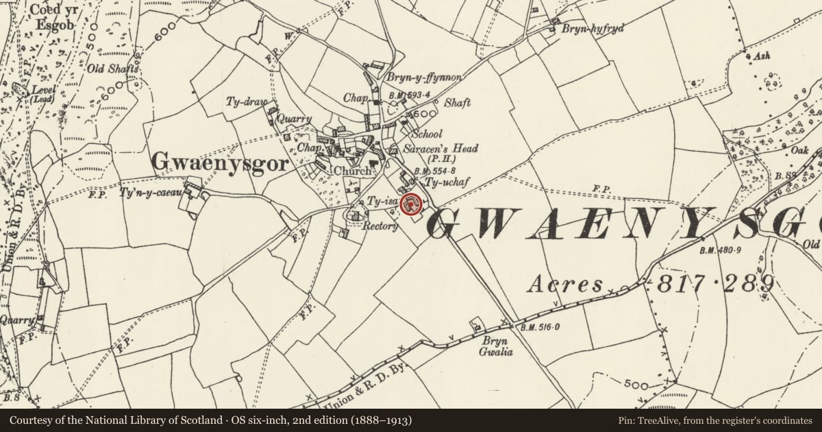 Ordnance Survey six-inch map, 2nd edition (1888–1913) covering the location of Ty Isaf, Trelawnyd and Gwaenysgor, Flintshire, with a pin at the register's coordinates