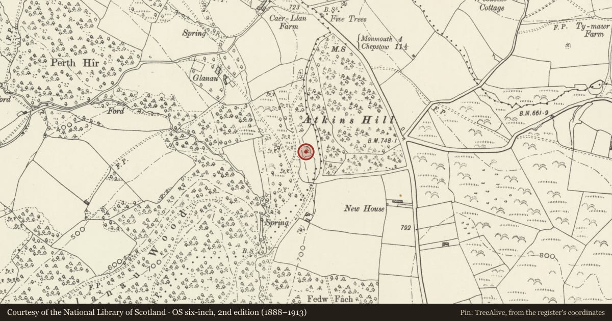 Ordnance Survey six-inch map, 2nd edition (1888–1913) covering the location of High Glanau, Mitchel Troy, Monmouthshire, with a pin at the register's coordinates
