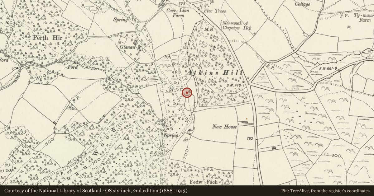 Ordnance Survey six-inch map, 2nd edition (1888–1913) covering the location of Terraces at High Glanau, Mitchel Troy, Monmouthshire, with a pin at the register's coordinates