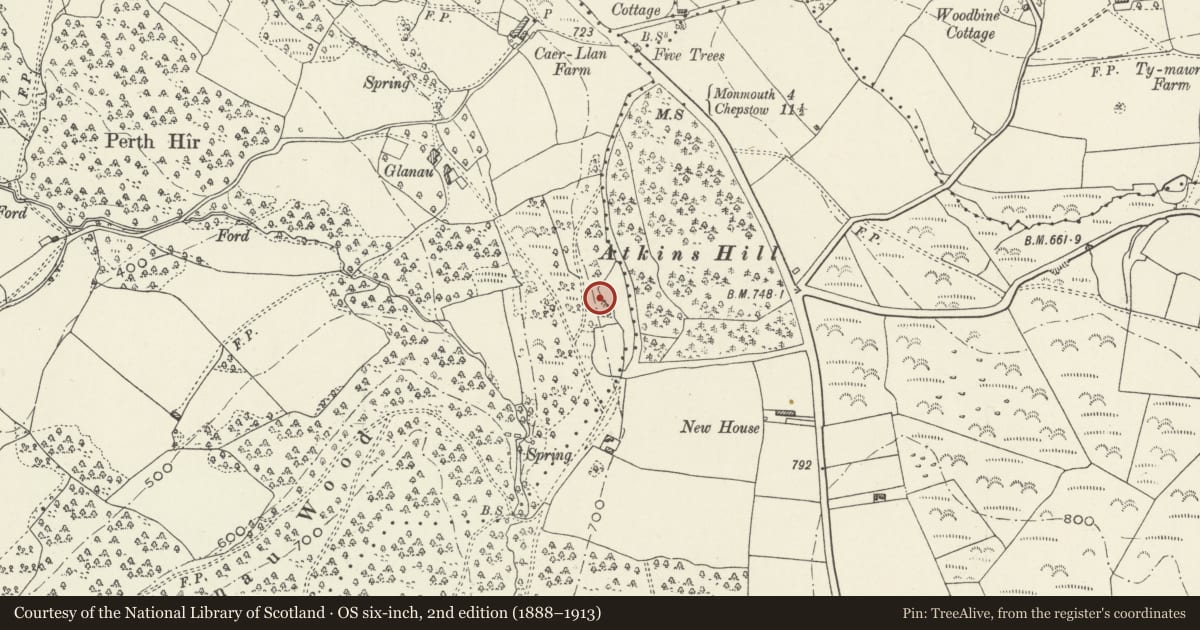 Ordnance Survey six-inch map, 2nd edition (1888–1913) covering the location of Garage at High Glanau, Mitchel Troy, Monmouthshire, with a pin at the register's coordinates
