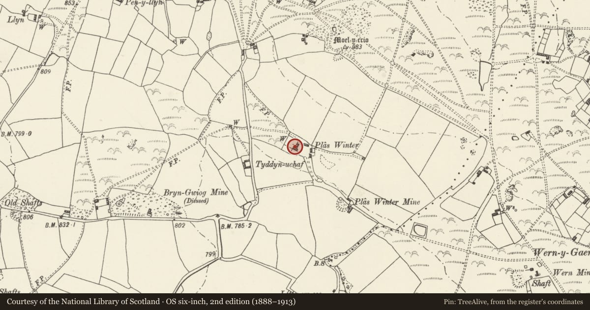 Ordnance Survey six-inch map, 2nd edition (1888–1913) covering the location of Plas Winter, Halkyn, Flintshire, with a pin at the register's coordinates