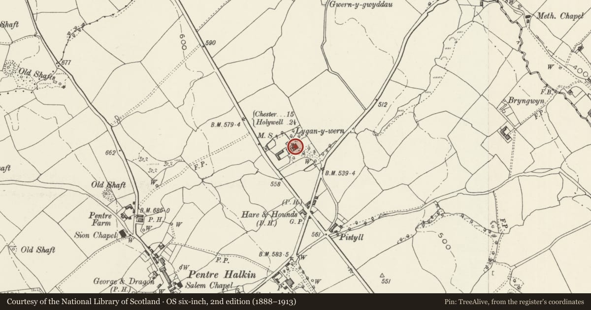 Ordnance Survey six-inch map, 2nd edition (1888–1913) covering the location of Lygan-y-wern, Halkyn, Flintshire, with a pin at the register's coordinates