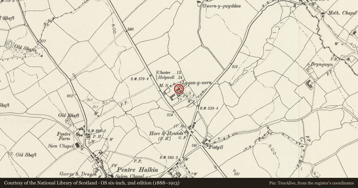Ordnance Survey six-inch map, 2nd edition (1888–1913) covering the location of Dovecote at Lygan-y-wern, Halkyn, Flintshire, with a pin at the register's coordinates
