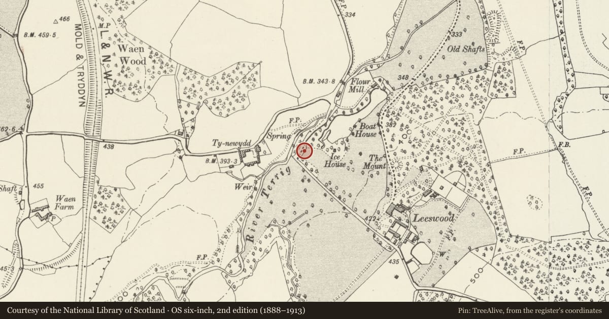 Ordnance Survey six-inch map, 2nd edition (1888–1913) covering the location of White Gates, Screens and Piers NW of Leeswood Hall, Leeswood and Pontblyddyn, Flintshire, with a pin at the register's coordinates