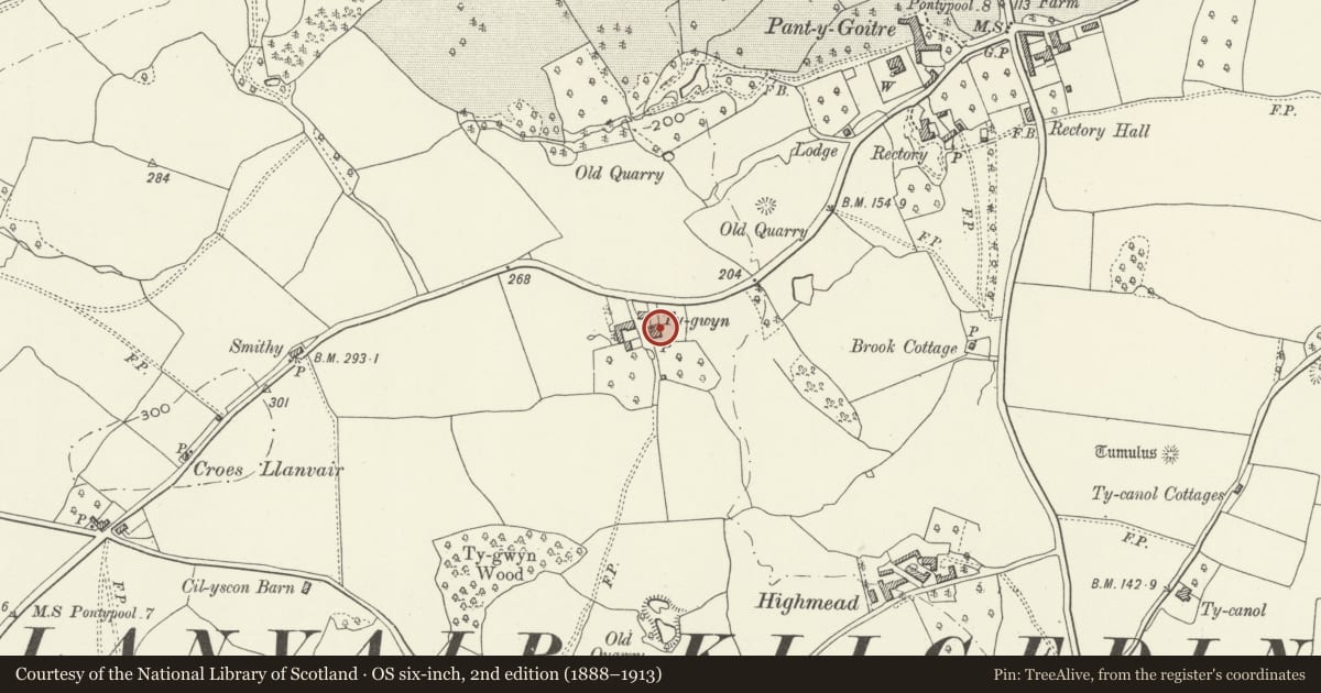 Ordnance Survey six-inch map, 2nd edition (1888–1913) covering the location of Whitehouse Farmhouse, Gobion Fawr, Monmouthshire, with a pin at the register's coordinates