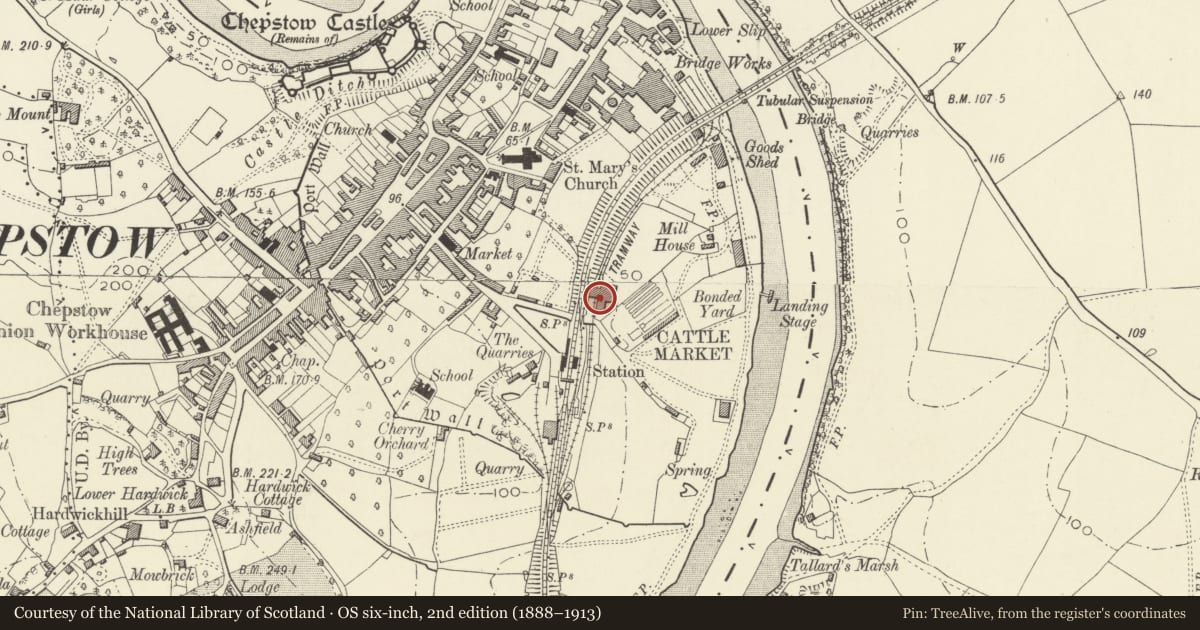 Ordnance Survey six-inch map, 2nd edition (1888–1913) covering the location of Former steam flour mill and malting at Fairfield-Mabey Works, Chepstow, Monmouthshire, with a pin at the register's coordinates