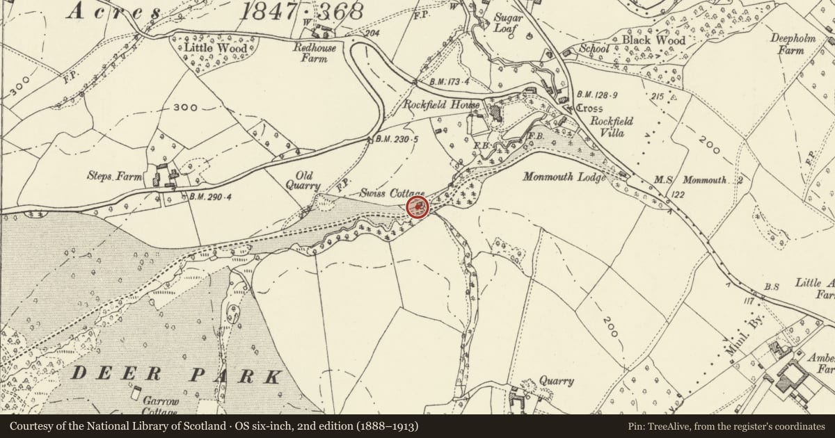 Ordnance Survey six-inch map, 2nd edition (1888–1913) covering the location of Swiss Cottage, Whitecastle, Monmouthshire, with a pin at the register's coordinates