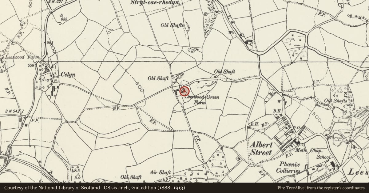 Ordnance Survey six-inch map, 2nd edition (1888–1913) covering the location of Leeswood Green Farm, Leeswood and Pontblyddyn, Flintshire, with a pin at the register's coordinates