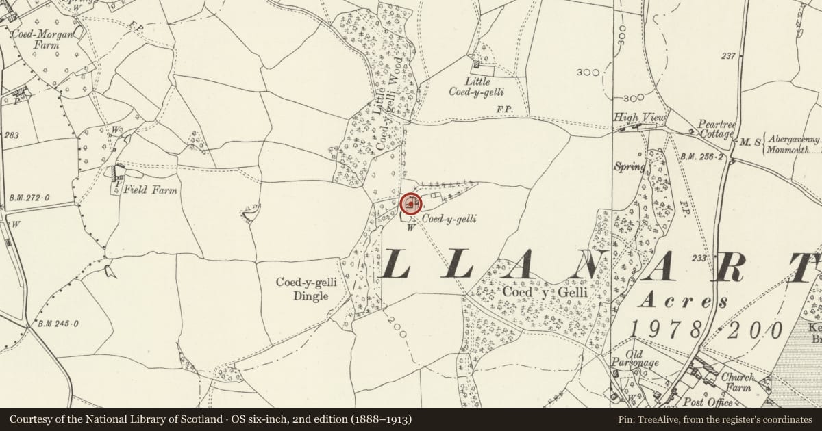 Ordnance Survey six-inch map, 2nd edition (1888–1913) covering the location of Coed-y-gelli, Llanarth, Monmouthshire, with a pin at the register's coordinates