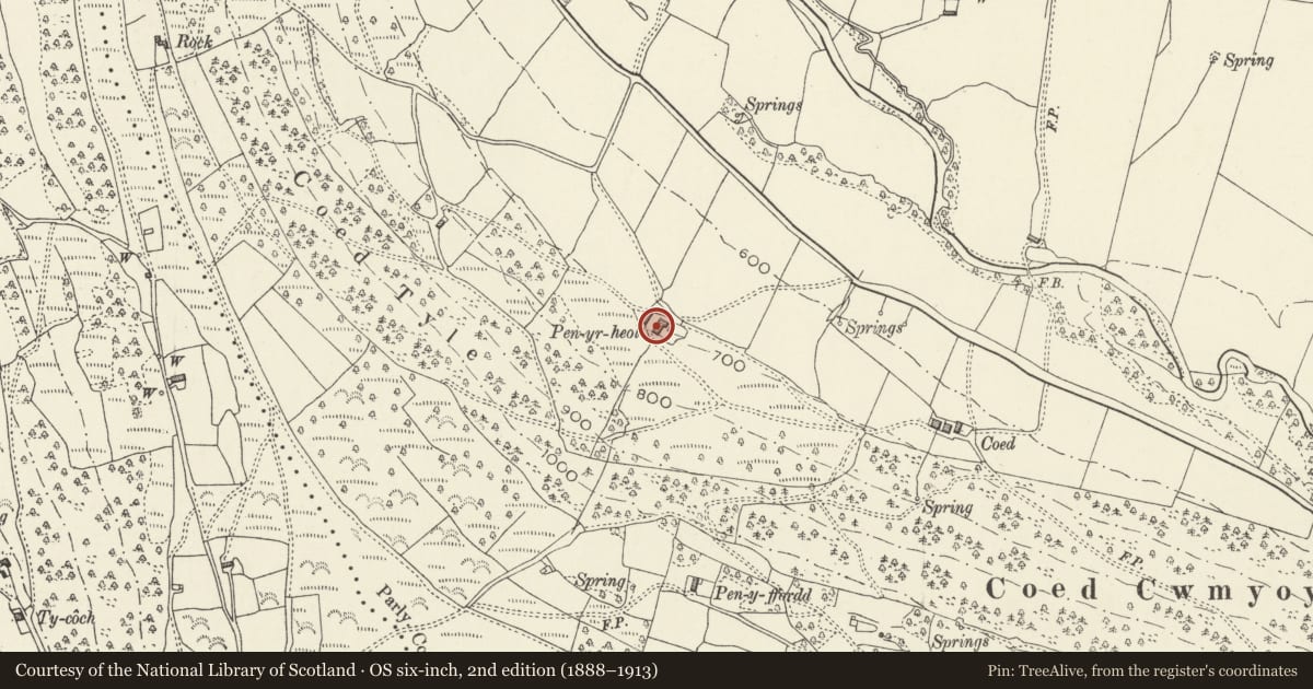 Ordnance Survey six-inch map, 2nd edition (1888–1913) covering the location of Pen-yr-Heol Farmhouse, Crucorney, Monmouthshire, with a pin at the register's coordinates