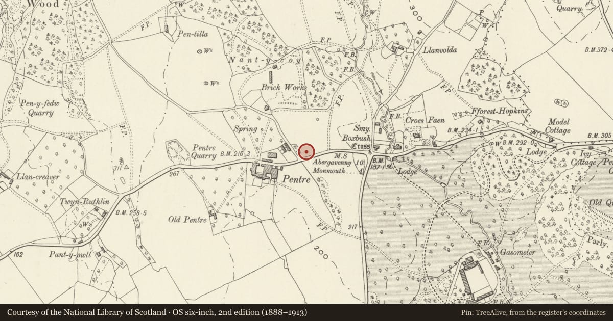 Ordnance Survey six-inch map, 2nd edition (1888–1913) covering the location of Sunnyside, Whitecastle, Monmouthshire, with a pin at the register's coordinates