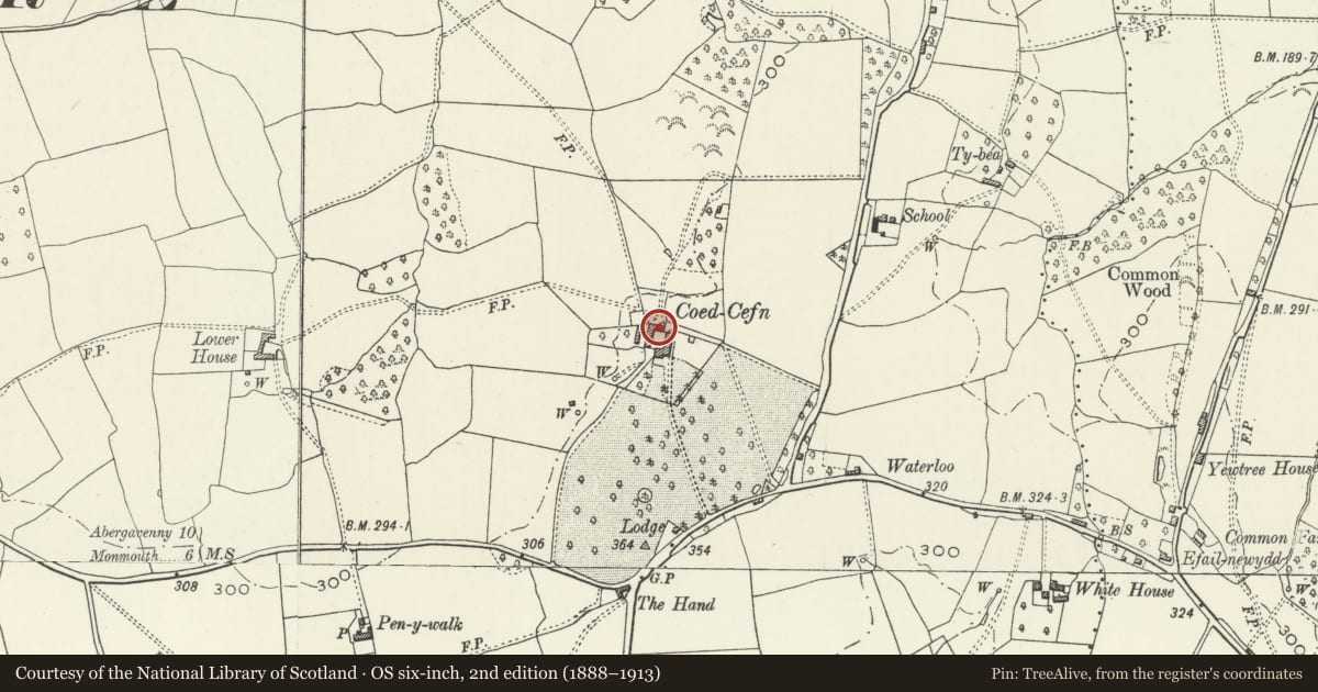 Ordnance Survey six-inch map, 2nd edition (1888–1913) covering the location of Stables at Coed Cefn Farm, Mitchel Troy, Monmouthshire, with a pin at the register's coordinates