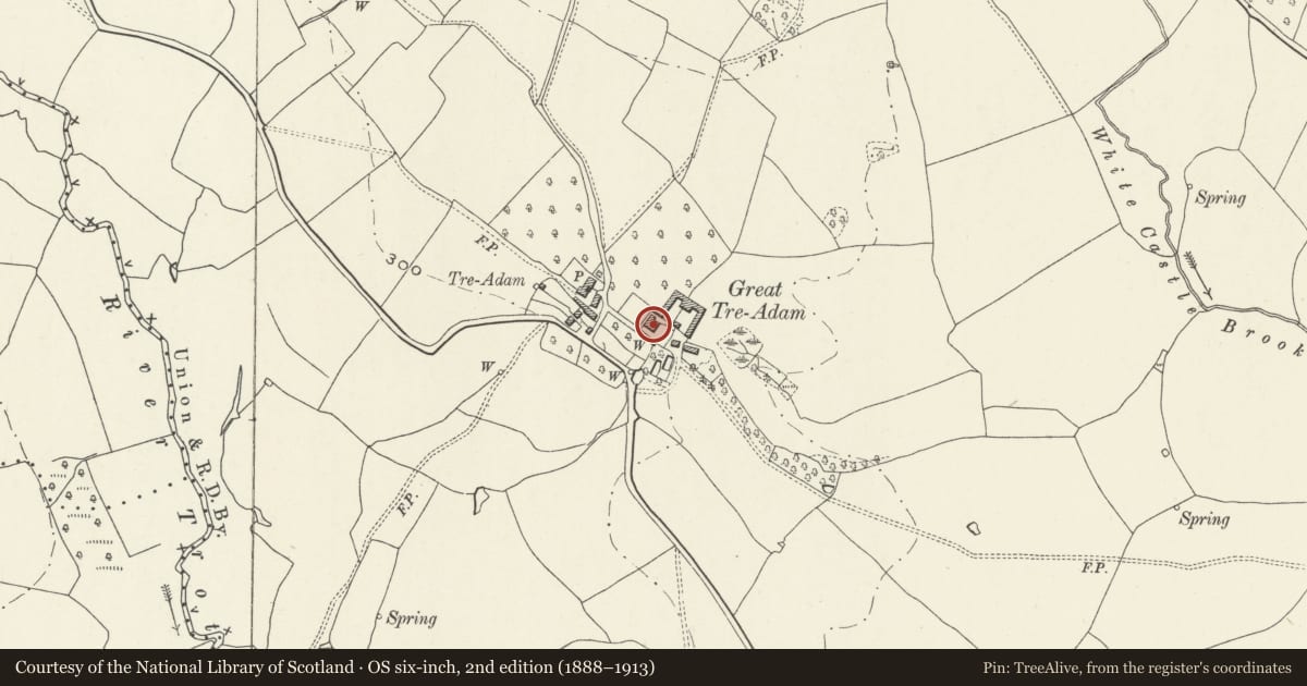 Ordnance Survey six-inch map, 2nd edition (1888–1913) covering the location of Great Treadam House, Whitecastle, Monmouthshire, with a pin at the register's coordinates