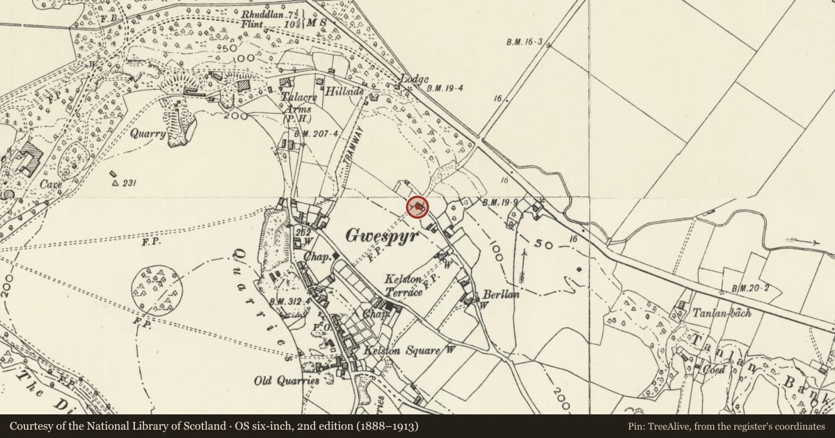 Ordnance Survey six-inch map, 2nd edition (1888–1913) covering the location of Cartref, Llanasa, Flintshire, with a pin at the register's coordinates