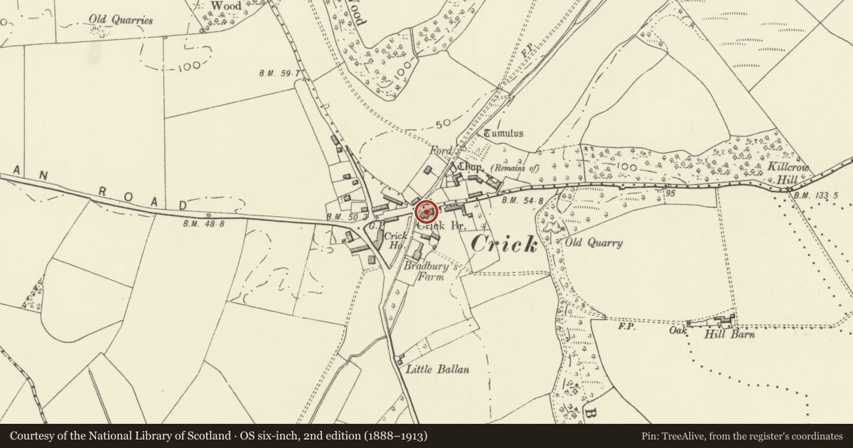 Ordnance Survey six-inch map, 2nd edition (1888–1913) covering the location of Brook House, Caerwent, Monmouthshire, with a pin at the register's coordinates