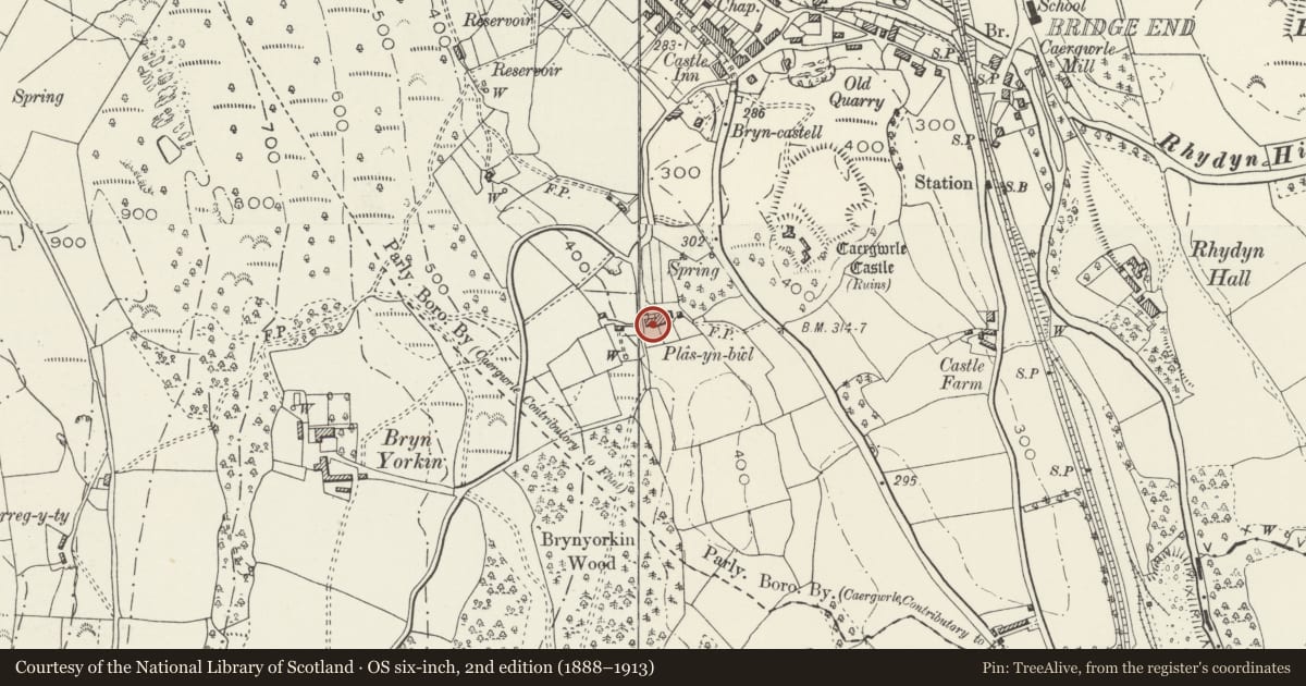 Ordnance Survey six-inch map, 2nd edition (1888–1913) covering the location of Plas-yn-Bwl, Hope, Flintshire, with a pin at the register's coordinates