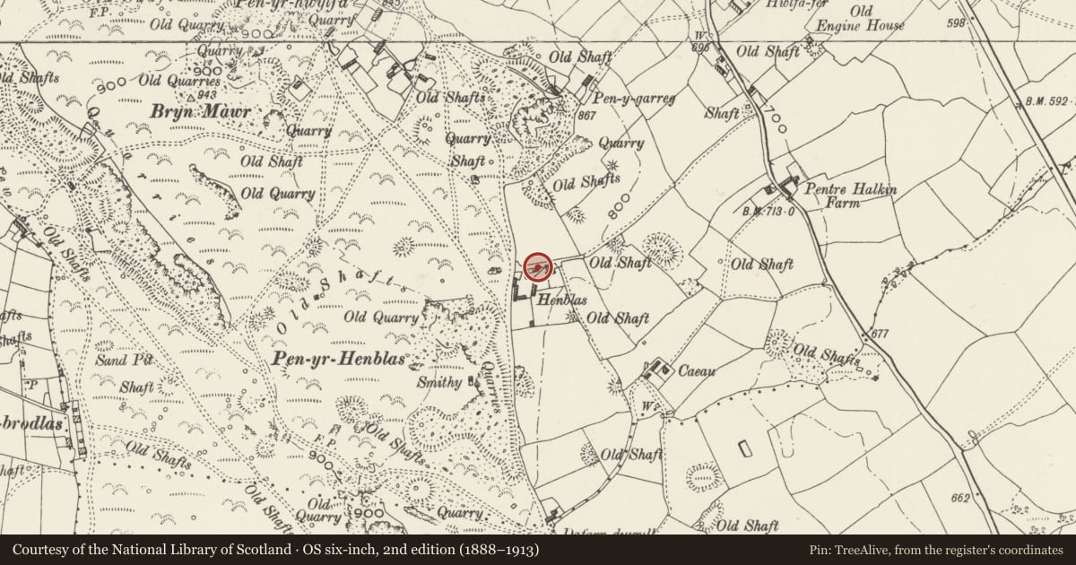 Ordnance Survey six-inch map, 2nd edition (1888–1913) covering the location of Henblas, Brynford, Flintshire, with a pin at the register's coordinates