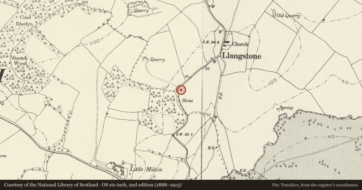 Ordnance Survey six-inch map, 2nd edition (1888–1913) covering the location of Thatched Cottage, Langstone, Newport, with a pin at the register's coordinates