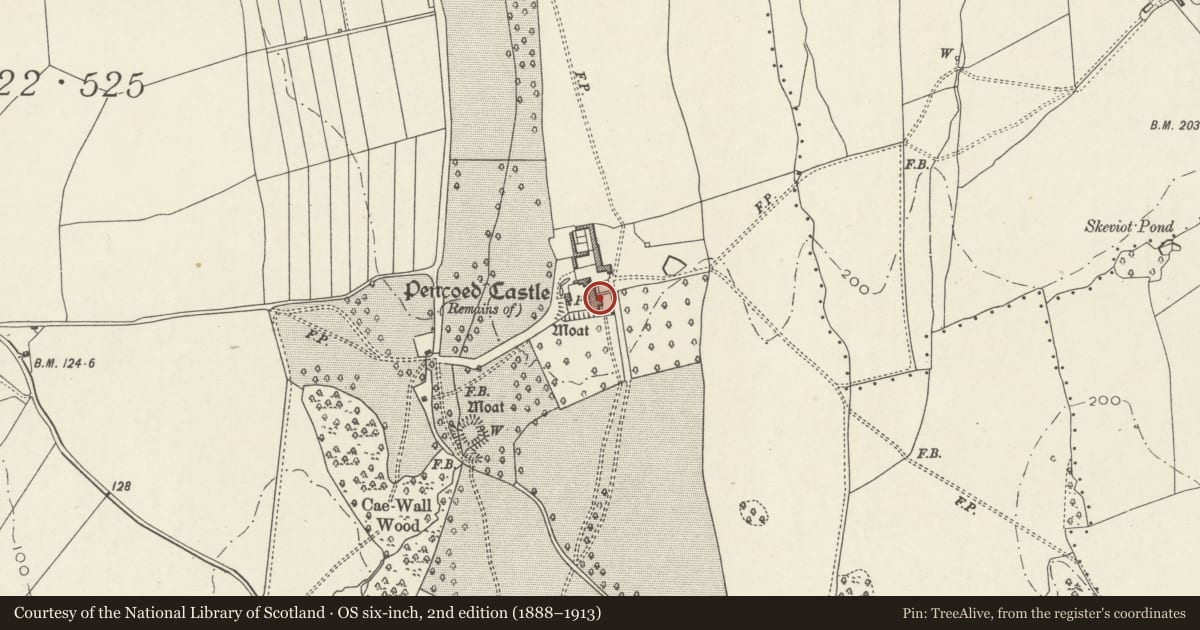 Ordnance Survey six-inch map, 2nd edition (1888–1913) covering the location of Pencoed Castle, Langstone, Newport, with a pin at the register's coordinates