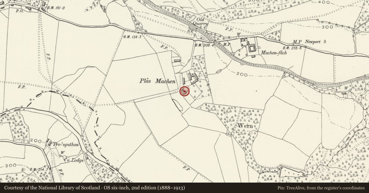 Ordnance Survey six-inch map, 2nd edition (1888–1913) covering the location of Plas Machen, Graig, Newport, with a pin at the register's coordinates